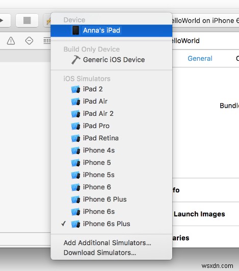 Master Cordova iOS 개발:설정부터 원활한 배포까지 