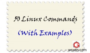 상위 50가지 필수 Unix 명령:실용 가이드 