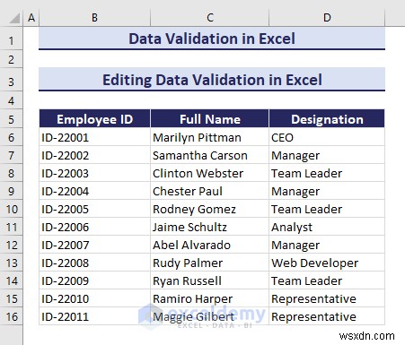 Excel 데이터 유효성 검사 숙달:포괄적인 단계별 가이드 