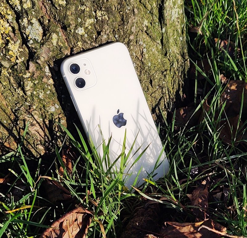 iPhone 11의 수명 평가:5년 간의 성능 