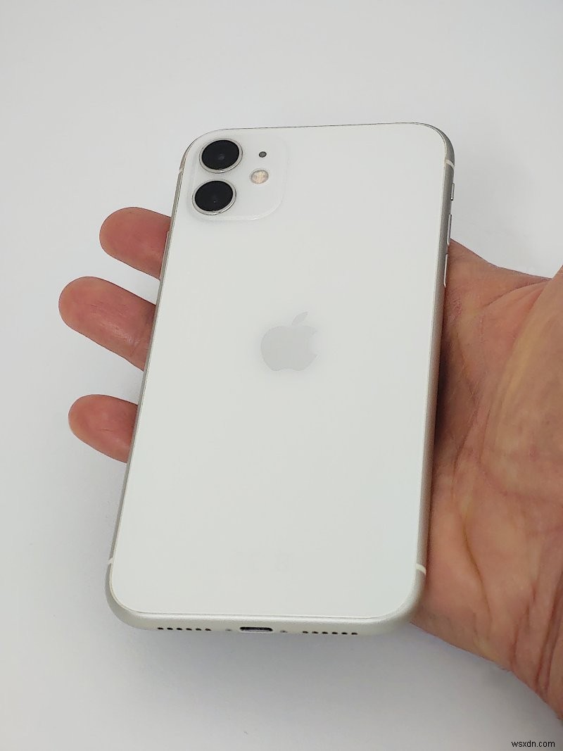 iPhone 11의 수명 평가:5년 간의 성능 