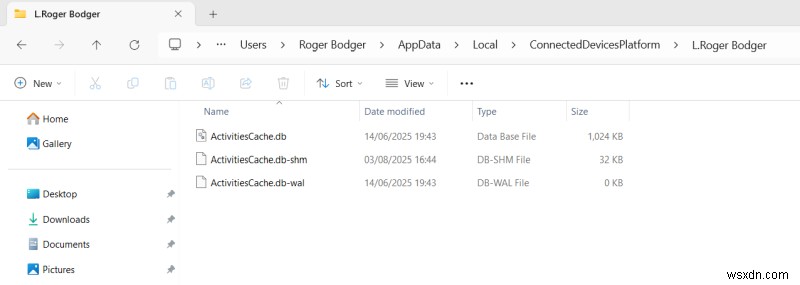 Windows 및 연결된 장치 플랫폼:원활한 통합 및 고급 기능 